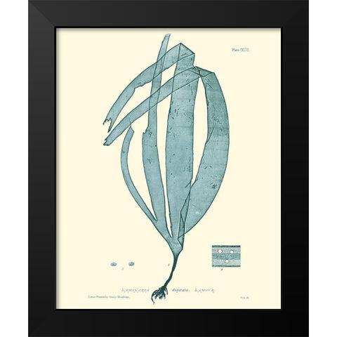 Nature Print in Aqua II Black Modern Wood Framed Art Print by Vision Studio