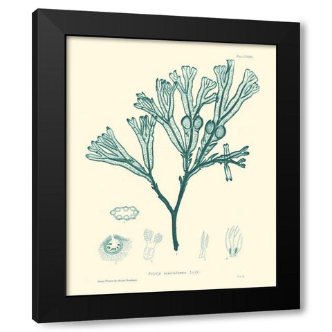 Nature Print in Aqua IV Black Modern Wood Framed Art Print by Vision Studio
