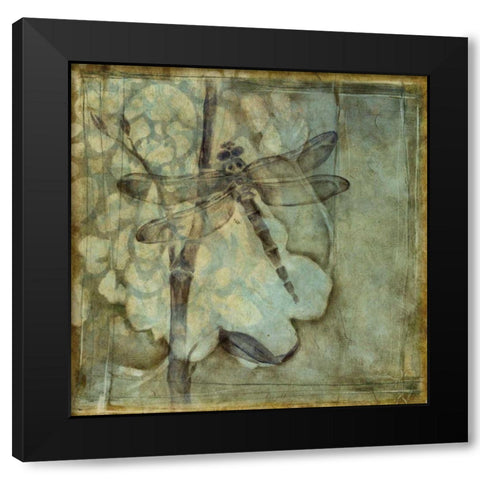 Small Ethereal Wings III Black Modern Wood Framed Art Print with Double Matting by Goldberger, Jennifer