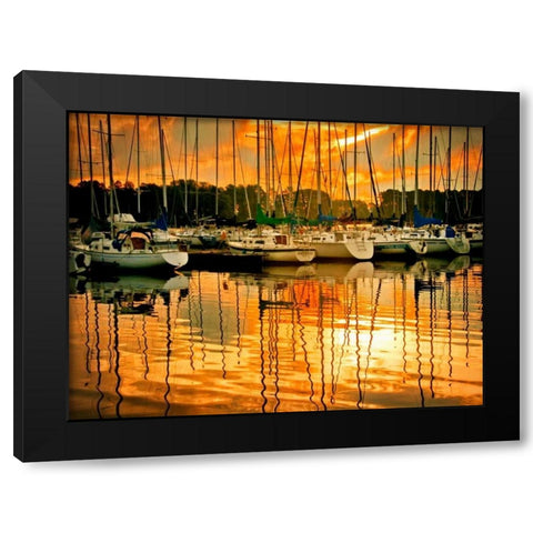 Marina Sunrise I Black Modern Wood Framed Art Print by Head, Danny