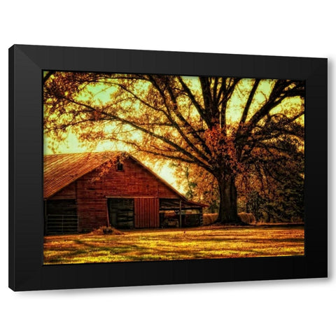 Last Tree Standing Black Modern Wood Framed Art Print with Double Matting by Head, Danny