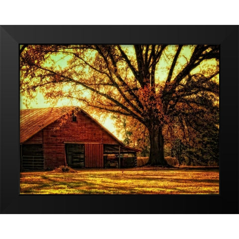Last Tree Standing Black Modern Wood Framed Art Print by Head, Danny