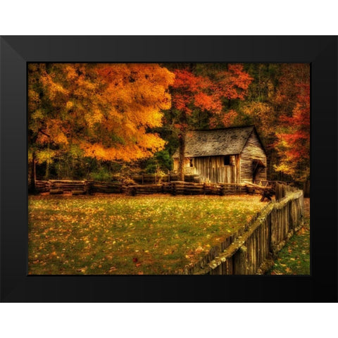 Autumn at the Mill Black Modern Wood Framed Art Print by Head, Danny