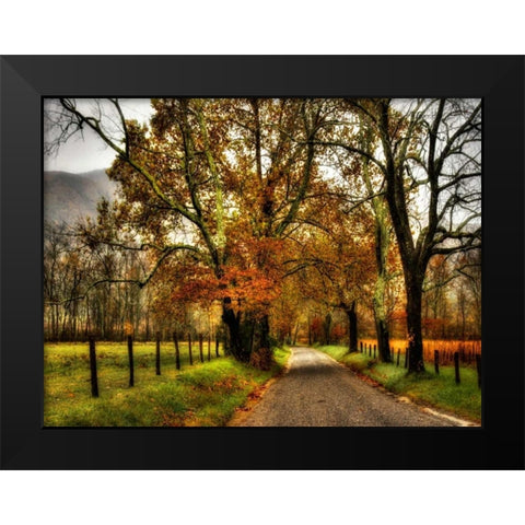 Rainy Morning on Sparks Lane Black Modern Wood Framed Art Print by Head, Danny