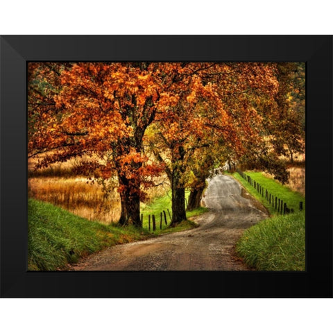 Rainy Morning on Hyatt Lane Black Modern Wood Framed Art Print by Head, Danny
