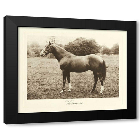 Veronese Black Modern Wood Framed Art Print by Hailey, Clarence