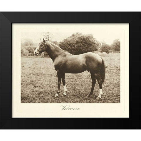 Veronese Black Modern Wood Framed Art Print by Hailey, Clarence