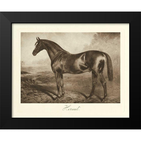 Hermit Black Modern Wood Framed Art Print by Hailey, Clarence