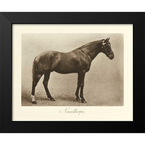 Nunthorpe Black Modern Wood Framed Art Print by Hailey, Clarence