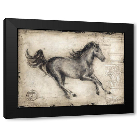 Roman Horse I Black Modern Wood Framed Art Print with Double Matting by Harper, Ethan