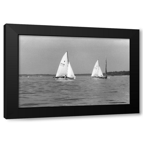 Ocean Breeze II Black Modern Wood Framed Art Print by DeNardo, Laura