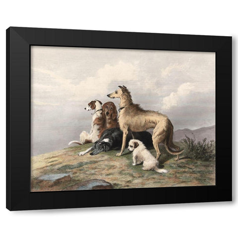Highland Dogs Black Modern Wood Framed Art Print with Double Matting by Landseer, Edward