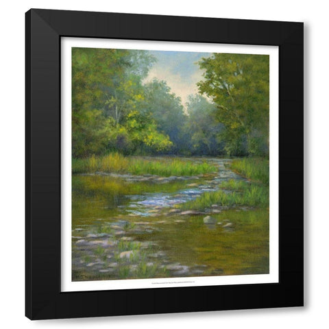 OBannon Creek Black Modern Wood Framed Art Print with Double Matting by Weber, Mary Jean