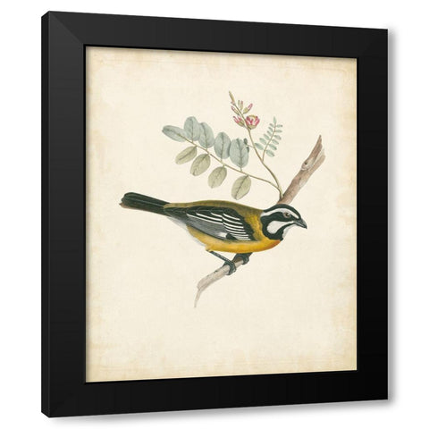 Delicate Birds V Black Modern Wood Framed Art Print by Unknown