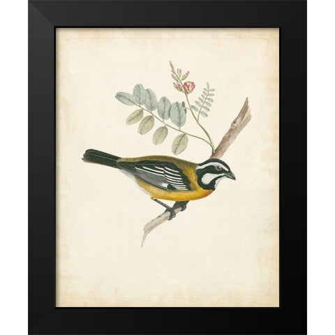 Delicate Birds V Black Modern Wood Framed Art Print by Unknown