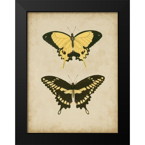Antique Butterfly Pair I Black Modern Wood Framed Art Print by Vision Studio
