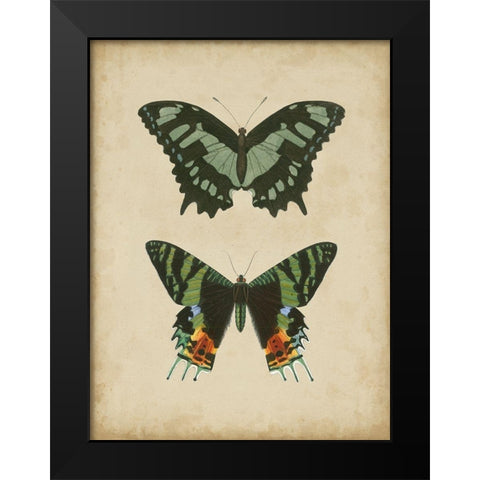 Antique Butterfly Pair II Black Modern Wood Framed Art Print by Vision Studio