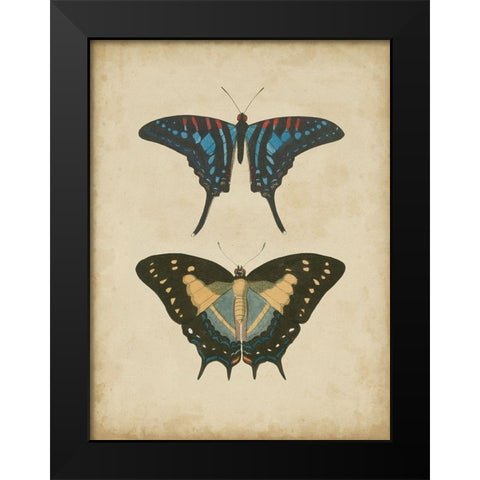 Antique Butterfly Pair III Black Modern Wood Framed Art Print by Vision Studio