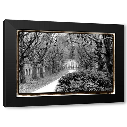 Garden Walk Black Modern Wood Framed Art Print by DeNardo, Laura