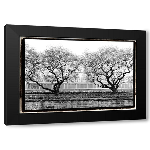 Conservatory II Black Modern Wood Framed Art Print with Double Matting by DeNardo, Laura