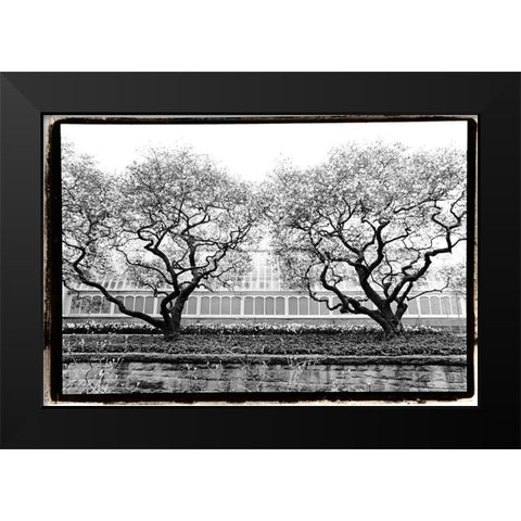 Conservatory II Black Modern Wood Framed Art Print by DeNardo, Laura
