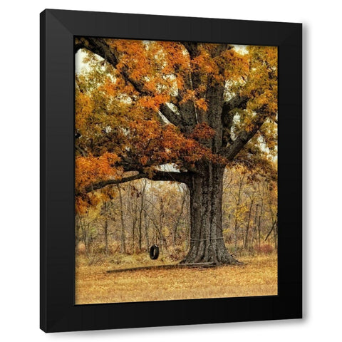 Tree Swing Black Modern Wood Framed Art Print with Double Matting by Head, Danny