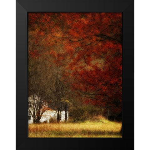 Beyond Octobers Maple Black Modern Wood Framed Art Print by Head, Danny
