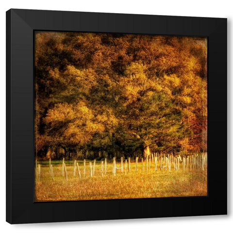 Fence Row Black Modern Wood Framed Art Print with Double Matting by Head, Danny