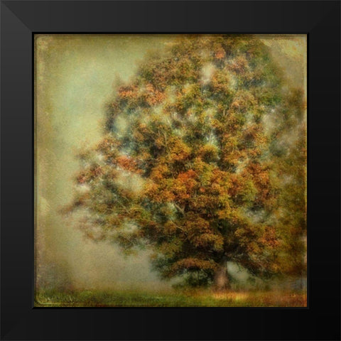 Autumns Dream Black Modern Wood Framed Art Print by Head, Danny