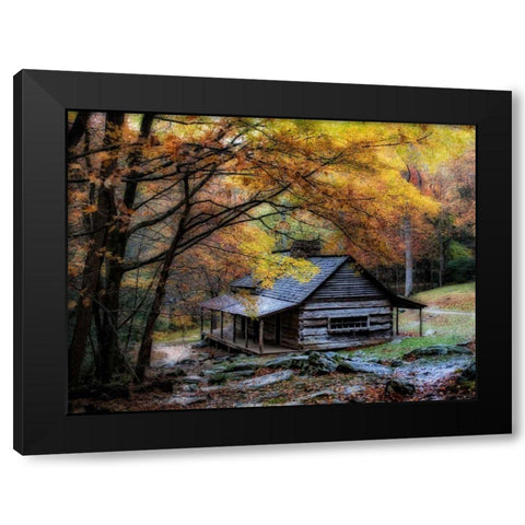 Damp Autumn Day Black Modern Wood Framed Art Print with Double Matting by Head, Danny