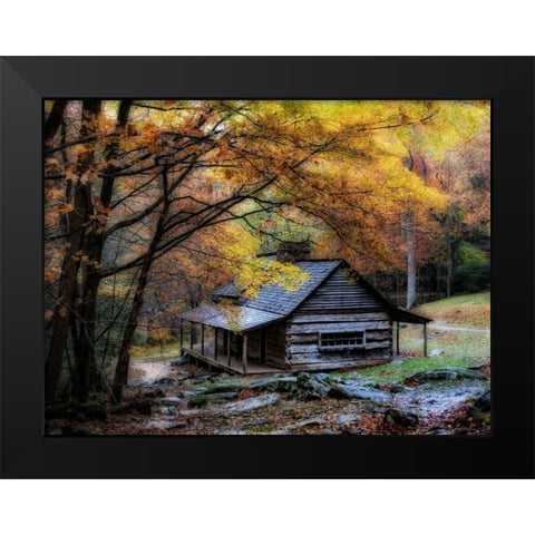 Damp Autumn Day Black Modern Wood Framed Art Print by Head, Danny