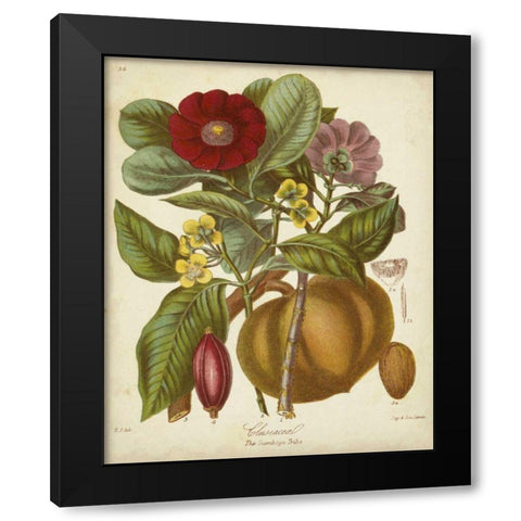 Twining Botanicals I Black Modern Wood Framed Art Print by Twining, Elizabeth
