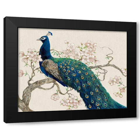 Peacock and Blossoms II Black Modern Wood Framed Art Print with Double Matting by OToole, Tim