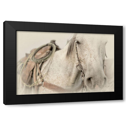 Cow Pony Black Modern Wood Framed Art Print by PHBurchett