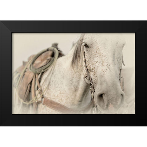 Cow Pony Black Modern Wood Framed Art Print by PHBurchett