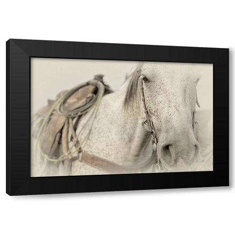 Cow Pony Black Modern Wood Framed Art Print by PHBurchett