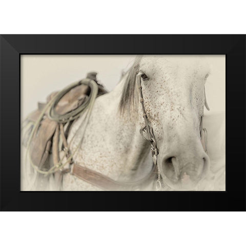 Cow Pony Black Modern Wood Framed Art Print by PHBurchett