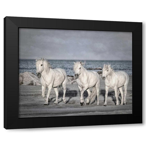 Morning Run Black Modern Wood Framed Art Print with Double Matting by PHBurchett