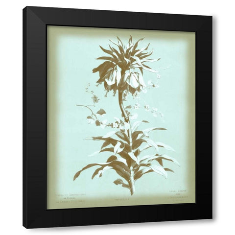 Dussurgey Imperiale on Blue Black Modern Wood Framed Art Print by Dussurgey, Chabal
