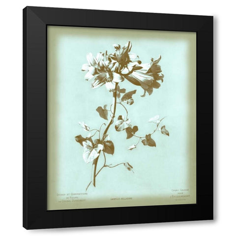 Dussurgey Amaryllis on Blue Black Modern Wood Framed Art Print by Dussurgey, Chabal