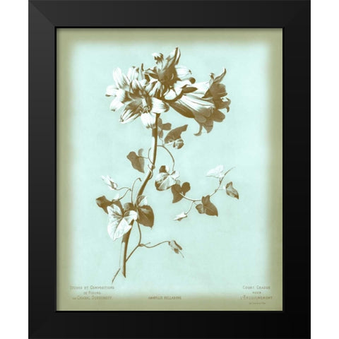 Dussurgey Amaryllis on Blue Black Modern Wood Framed Art Print by Dussurgey, Chabal