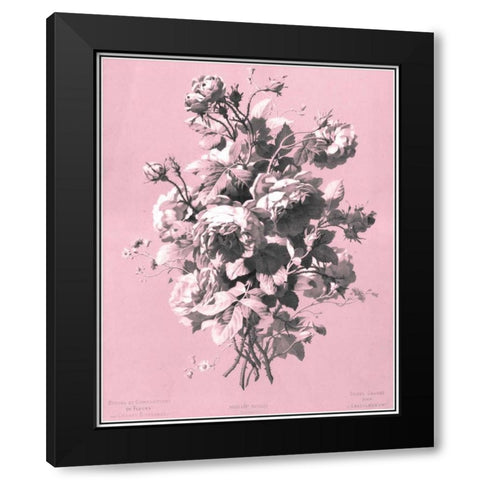 Dussurgey Roses on Pink Black Modern Wood Framed Art Print with Double Matting by Dussurgey, Chabal