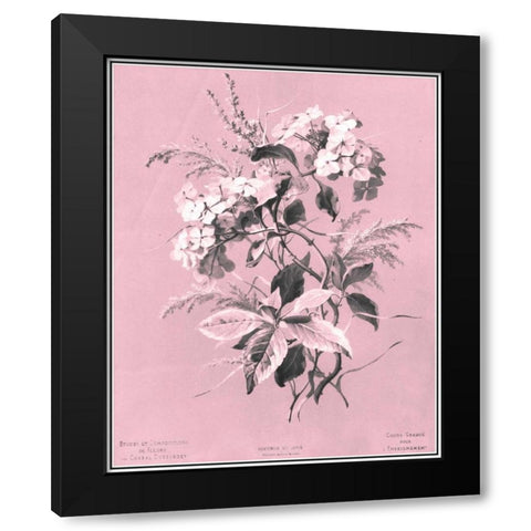 Dussurgey Hydrangea on Pink Black Modern Wood Framed Art Print with Double Matting by Dussurgey, Chabal