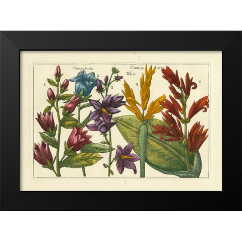 Arena Botanical III Black Modern Wood Framed Art Print by Arena