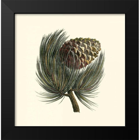 Pignon Pine Black Modern Wood Framed Art Print by Unknown