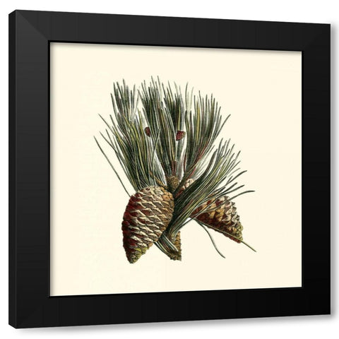 Bordeaux Pine Black Modern Wood Framed Art Print by Unknown