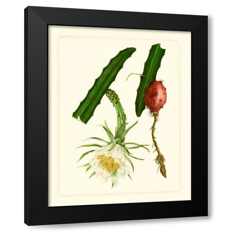 Exotic Flora II Black Modern Wood Framed Art Print with Double Matting by Vision Studio