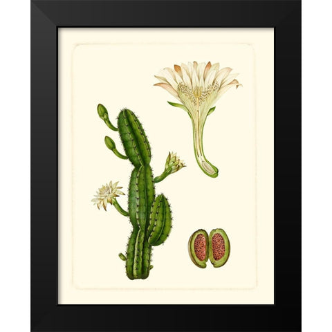 Exotic Flora V Black Modern Wood Framed Art Print by Vision Studio