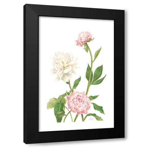 Peony I Black Modern Wood Framed Art Print with Double Matting by Shirley, Pamela