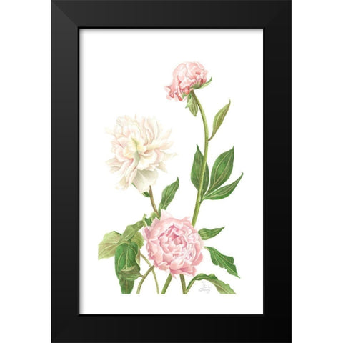 Peony I Black Modern Wood Framed Art Print by Shirley, Pamela